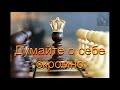 "Думайте о себе скромно". А. В. Штайнбрехер. МСЦ ЕХБ