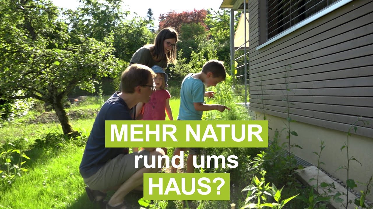 Natur findet Stadt in Kttigen