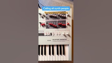 Calling your attention to the Super Gemini #udo #dawless #supergemini #moogaudio #analogsynth