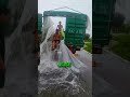 A SWIMMING POOL in a TRUCK?! 🤯💦