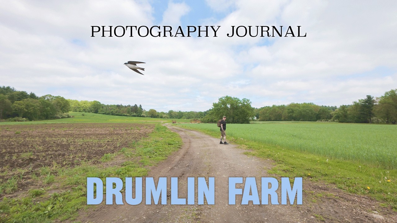 Birdwatching & Photography Journal | Drumlin Farm (Massachusetts)