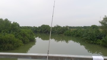 Ngày đi câu cá lang ở ruộng muối Lý Nhơn - Cần Giờ.