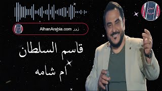 قاسم السلطان ام شامه