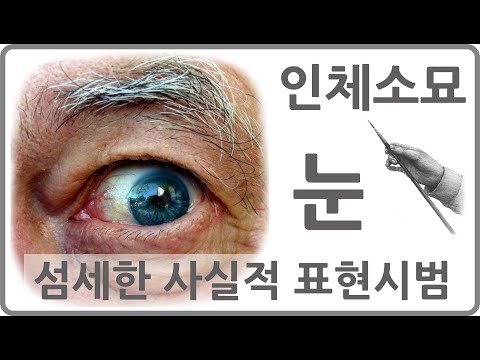 인체소묘 눈 그리기 섬세한 사실적 표현