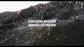 Tema Vakfı - Sarı Gelin