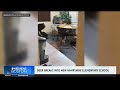 Deer crashes through glass door at a New Hampshire elementary school 