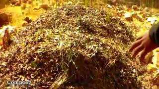 VID 20190619 WA0011