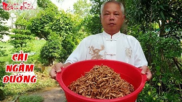 Ông 5 Châu Đốc Bật Mí Cách Làm Cải Ngâm Đường Truyền Thống Của Gia Đình | NKGĐ
