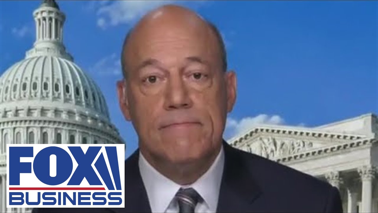Ari Fleischer: Democrats, White House getting 'bad ideas' from media