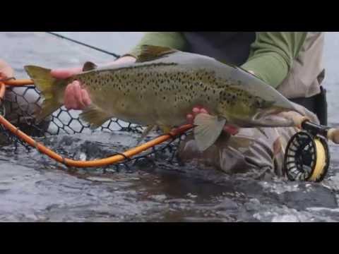 Summer Camp at McKenzie River Lodge with Exterus Brand and Allen Fly Fishing