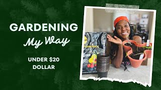 How to start a garden for beginners | under $20 dollars