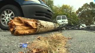 W. Asheville Hit-and-Run