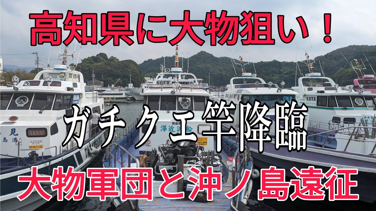 【沖ノ島遠征第3弾】大物軍団のガチクエタックルが凄すぎた！【高知県に投げ釣りでタマミを狙う！#1】