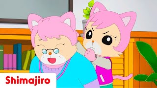 🤝💛 Operation Helping Hand 🏠✨ | Full Episode #316 | Shimajiro 🐯