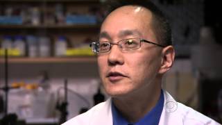 Burn pit exposure causes lung disease in veterans