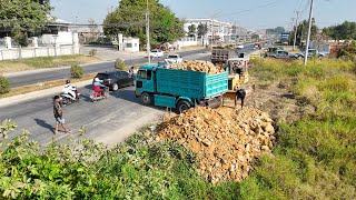 First Starting New Project Incredible Storng Bulldozers Push the Stone Pushing the Dirt DumpTruck