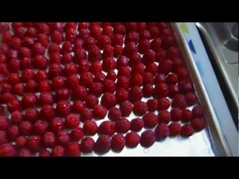 Video: How To Freeze Raspberries