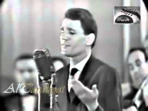 habibaha abdel halim habibaha abdel halim
