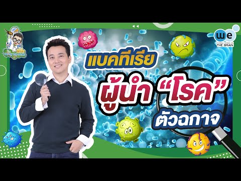 [LIVE] พี่บิ๊กอยากเล่า ตอน แบคทีเรีย ผู้นำ "โรค" ตัวฉกาจ 🧬🔬