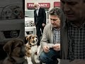 Puppy and his father Have no cash to buy medicine So rich man made him sad #interestingclips #shorts