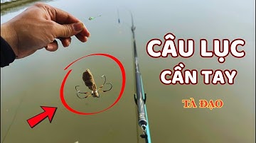 Câu Lục Đầu Cần Hồ Tự Nhiên Quá Bất Ngờ | Cách Câu Lục Đầu Cần | MT Fishing