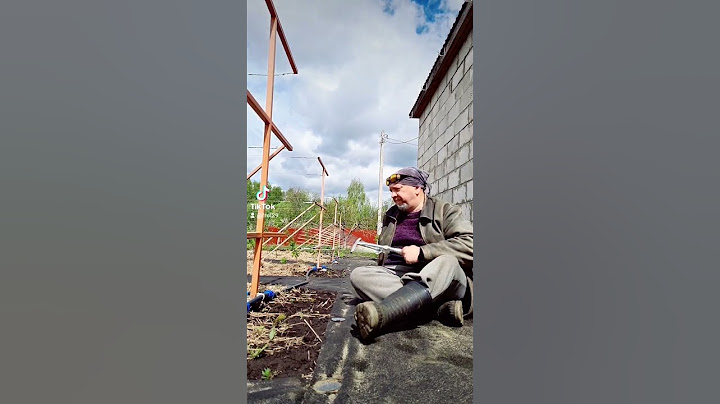 Димон! Ты чё там сидишь то?