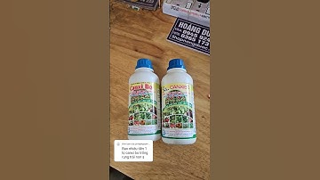 giá canxi bo chống rụng trái