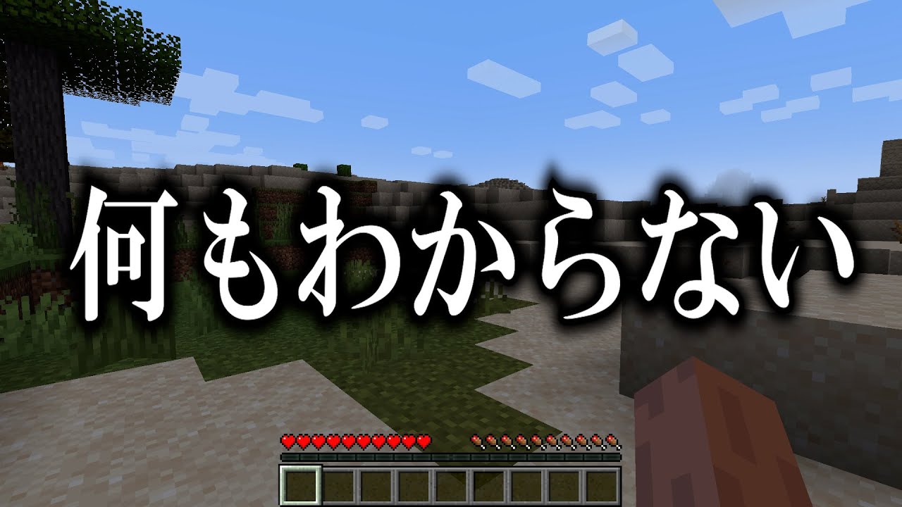 マジで何も知らない初心者がマインクラフトをやるとこうなる Minecraft Summary マイクラ動画