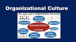 What is Organizational Culture?