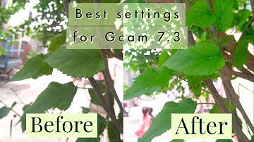 Best Settings For Gcam 7.3 For All Android Phones | Take DSLR Quality Images