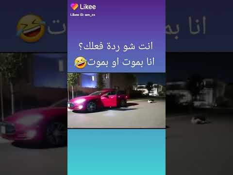 انت شوردة فعلك انابموت او بموت