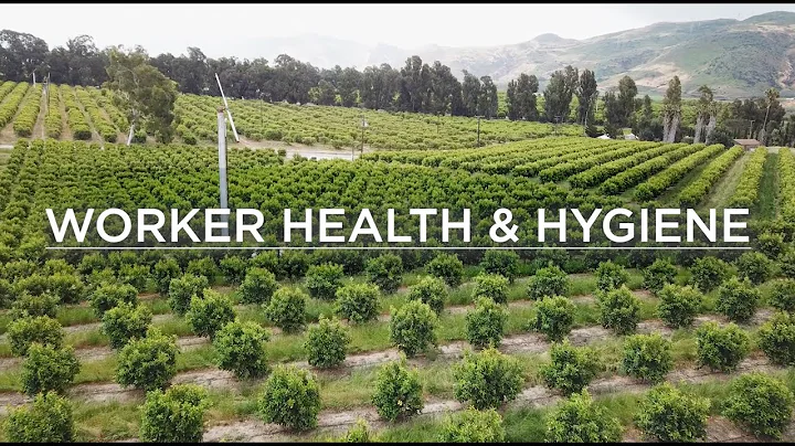 Fruit and Vegetable Food Safety Training Video for Field Employees