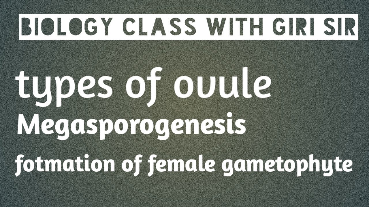 Reproduction in flowering plant -megasporogenesis - YouTube