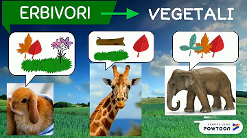 Quali sono gli animali erbivori erbivori?