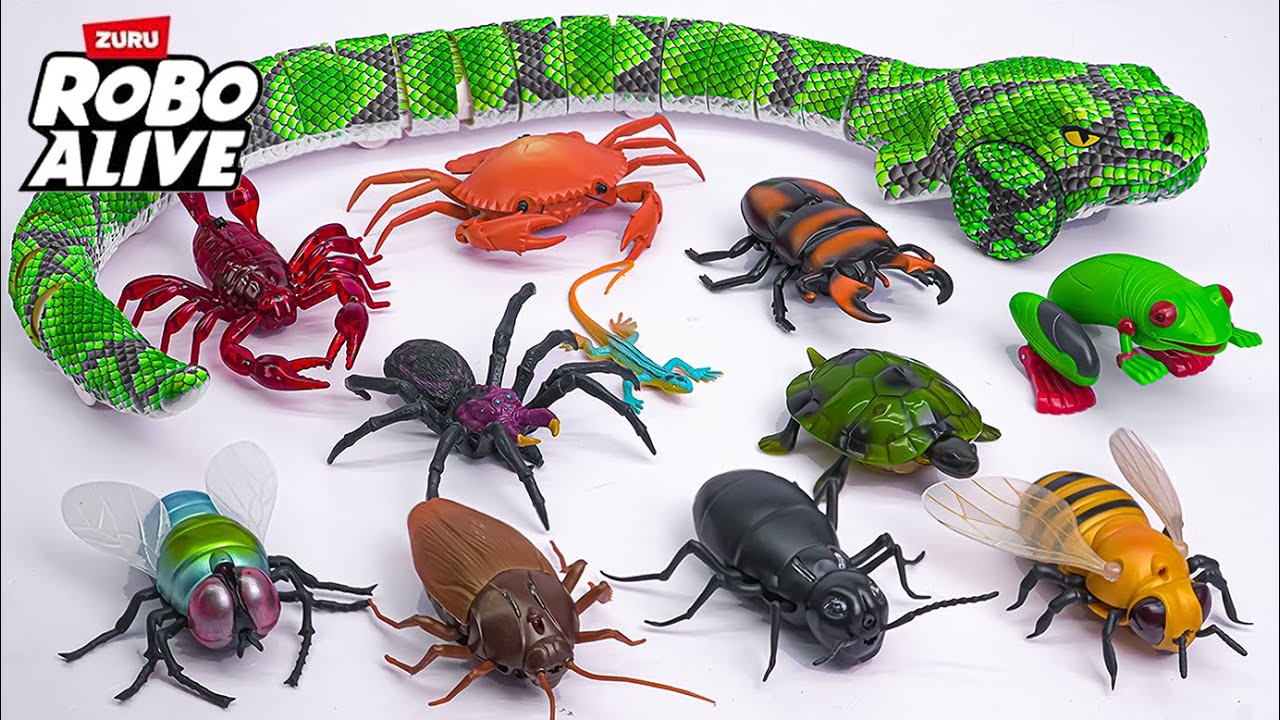 [🐰toy asmr🐰] Real Wild RC Giant Anaconda & RC Insects: Scorpion - Turtle - Spider ASMR 🐍 Review Toys