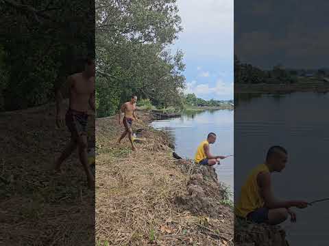 trending funny videos #funny #comedyshorts #comedy