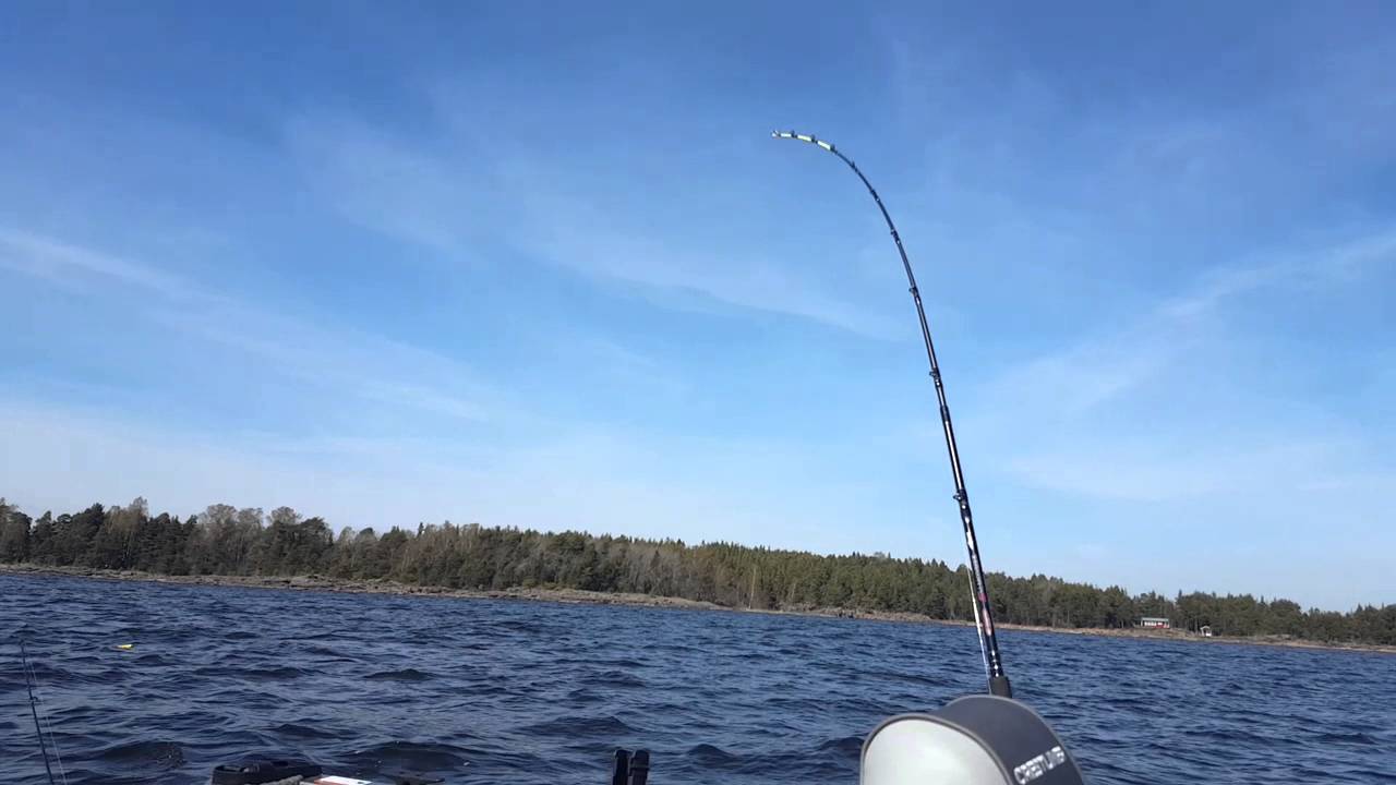 Crestliner 1650 fish hawk YouTube