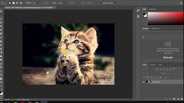 How To Disable Auto collapse iconic panels in Photoshop