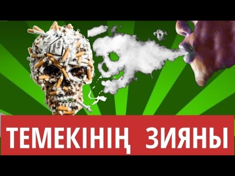 Бейне: Флотсам және джетсам - қандай жыланбалықтар?