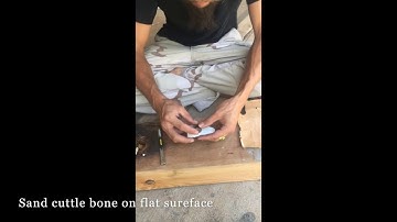 Cuttlebone casting tutorial