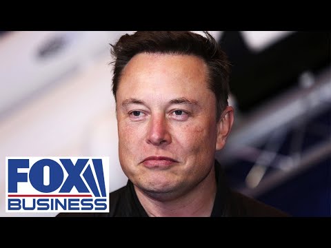 Elon Musk identified 'real rot' at Twitter: GETTR consultant