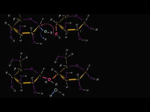 Video: Bu dehidrasiya reaksiyasında iştirak edən monomer nədir?