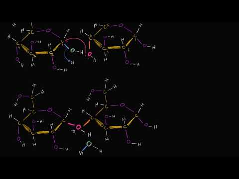 Video: Dehidrasyon sentezinin sonucu nedir?