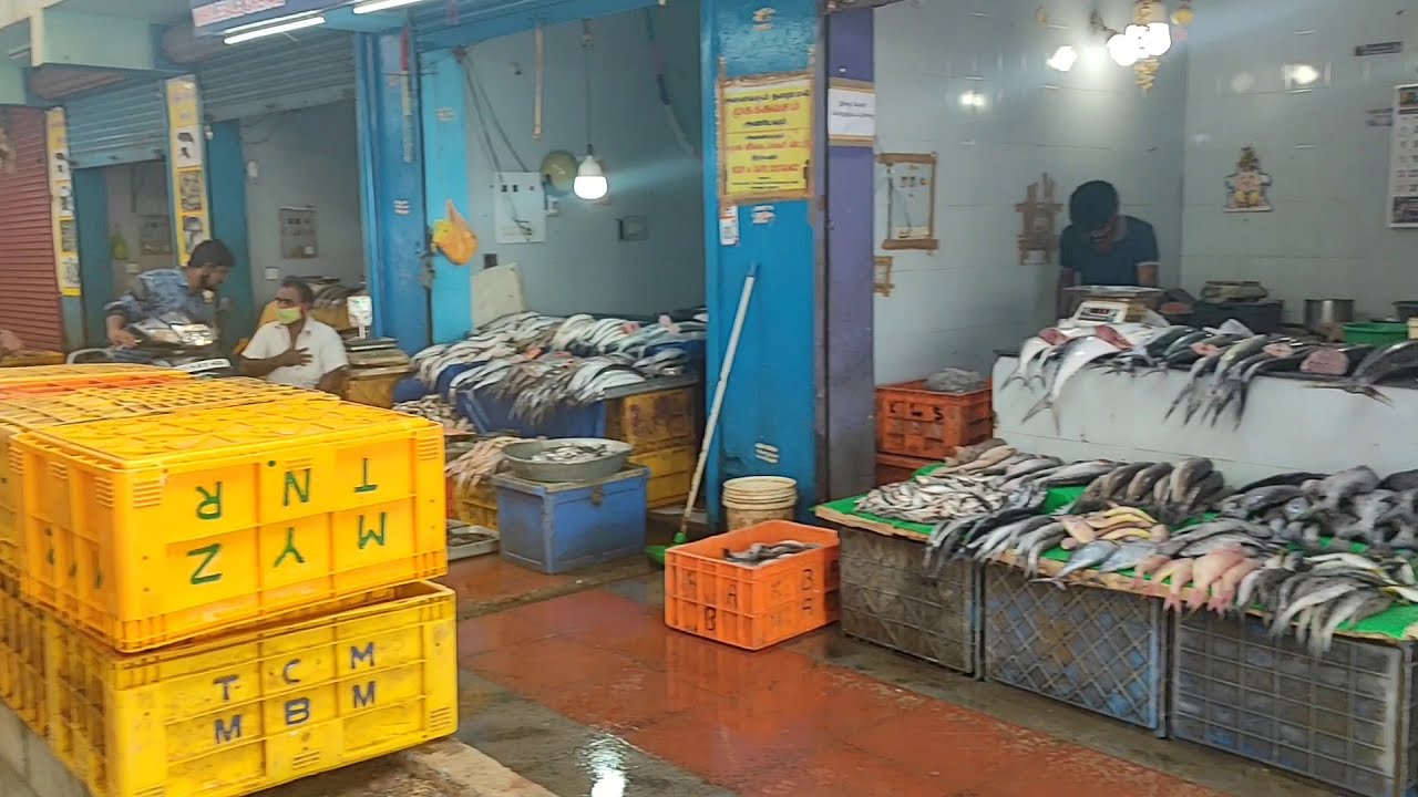 Coimbatore Ukkadam Fish Market Full View Ukkadam Fish Market Walking coimbatore-ukkadam-fish-market-full-view-ukkadam-fish-market-walking