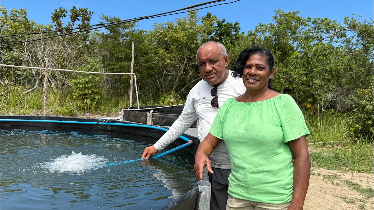 CRIAÇÃO DE TILÁPIAS EM TANQUES ESCAVADOS 