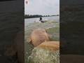 Underwater big monster fish come out #fish #video #reels #shorts #short #unbelievable_fishing