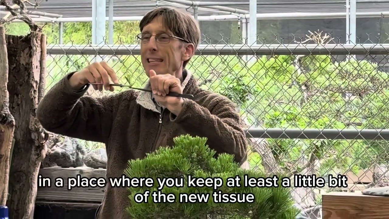 Black Pine Summer workshop with Jonas Dupuich 