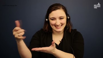A Day in the Life of a Video Interpreter - Captions