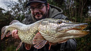 This lake has MONSTER PIKE  CRAZY Fishing!