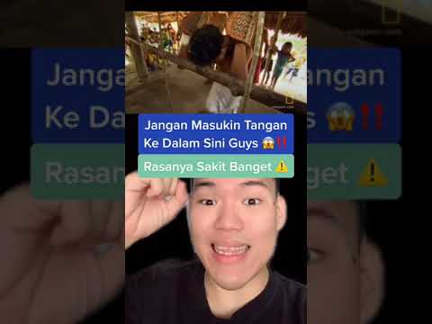 Video: Adakah mesin mendayung akan menyegarkan tangan saya?